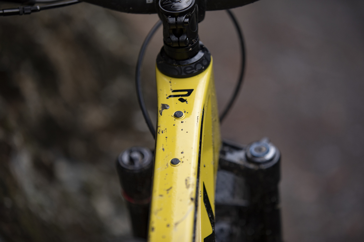 Ridley Raft - nuova mountain bike